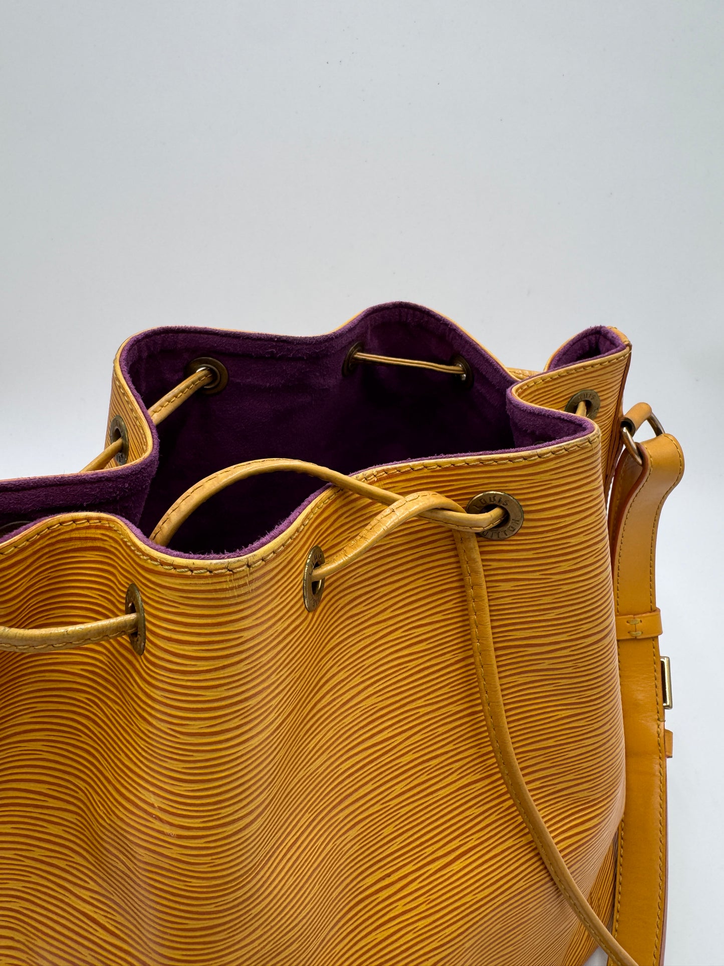 Louis Vuitton Noe Petite