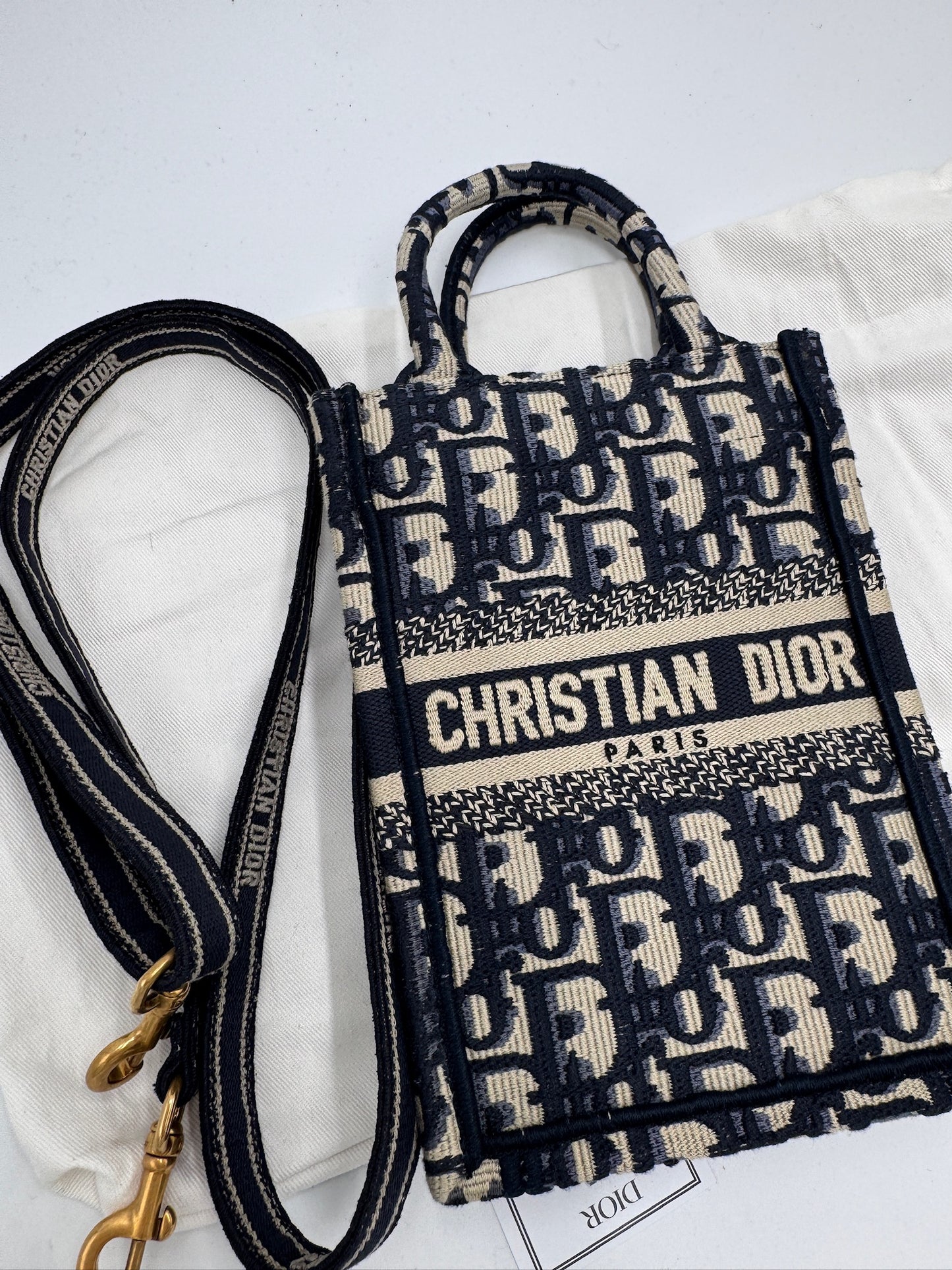 Dior Mini Oblique