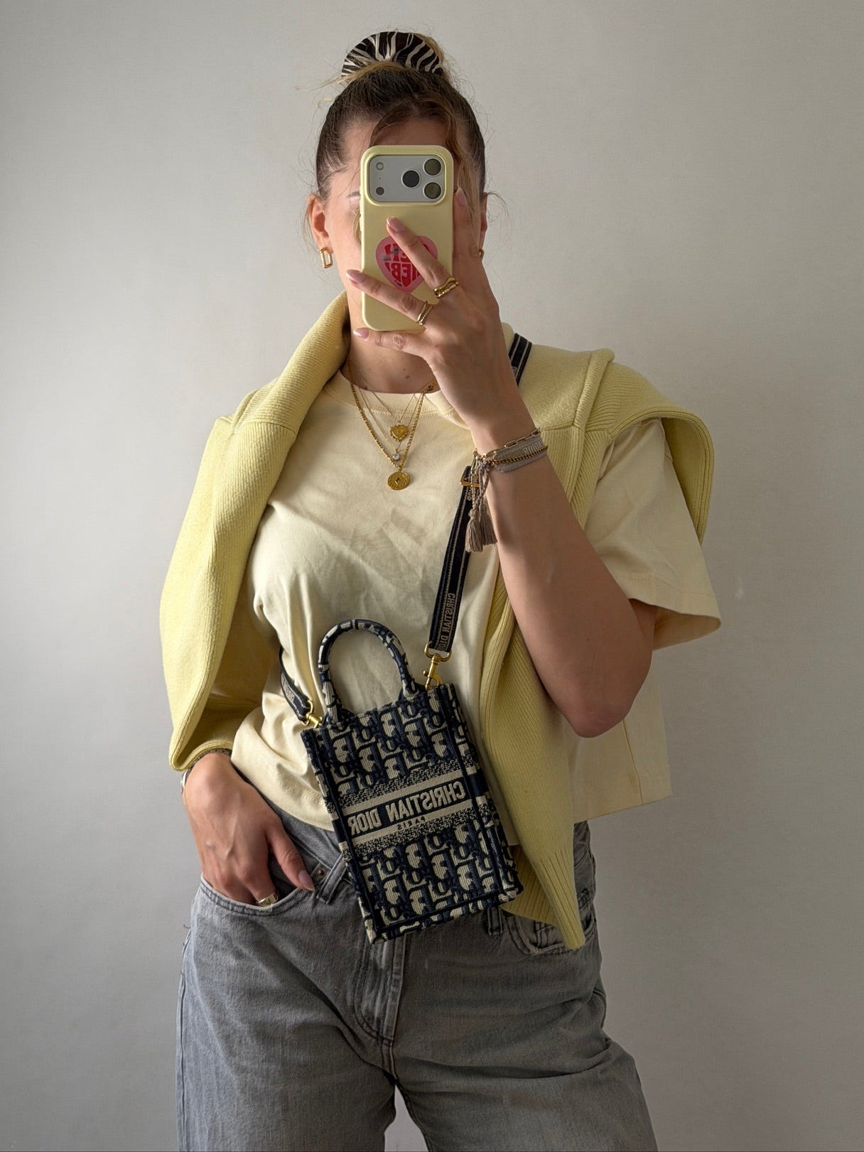 Dior Mini Oblique