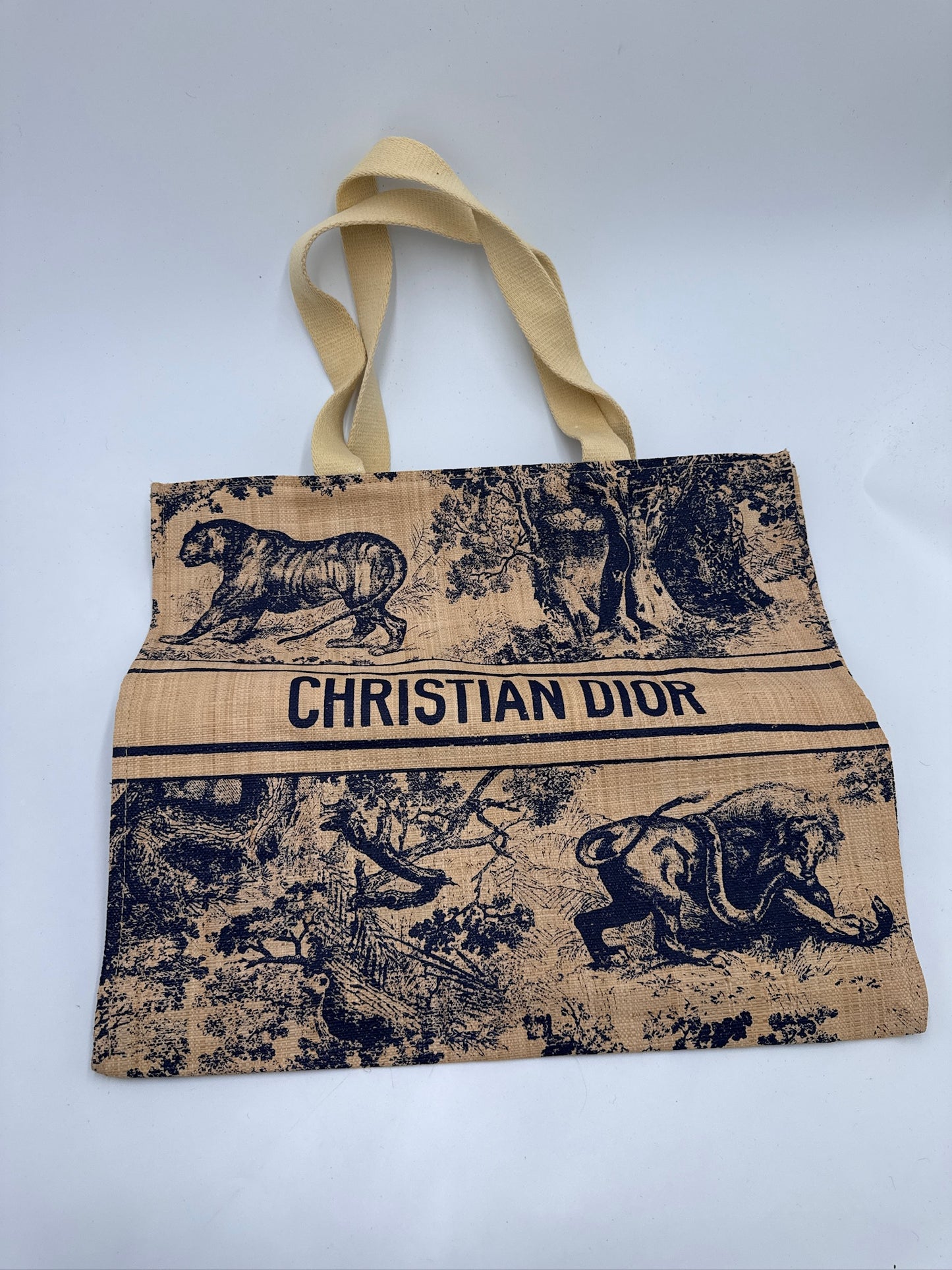 Dior Riviera Raffia Tote Bag