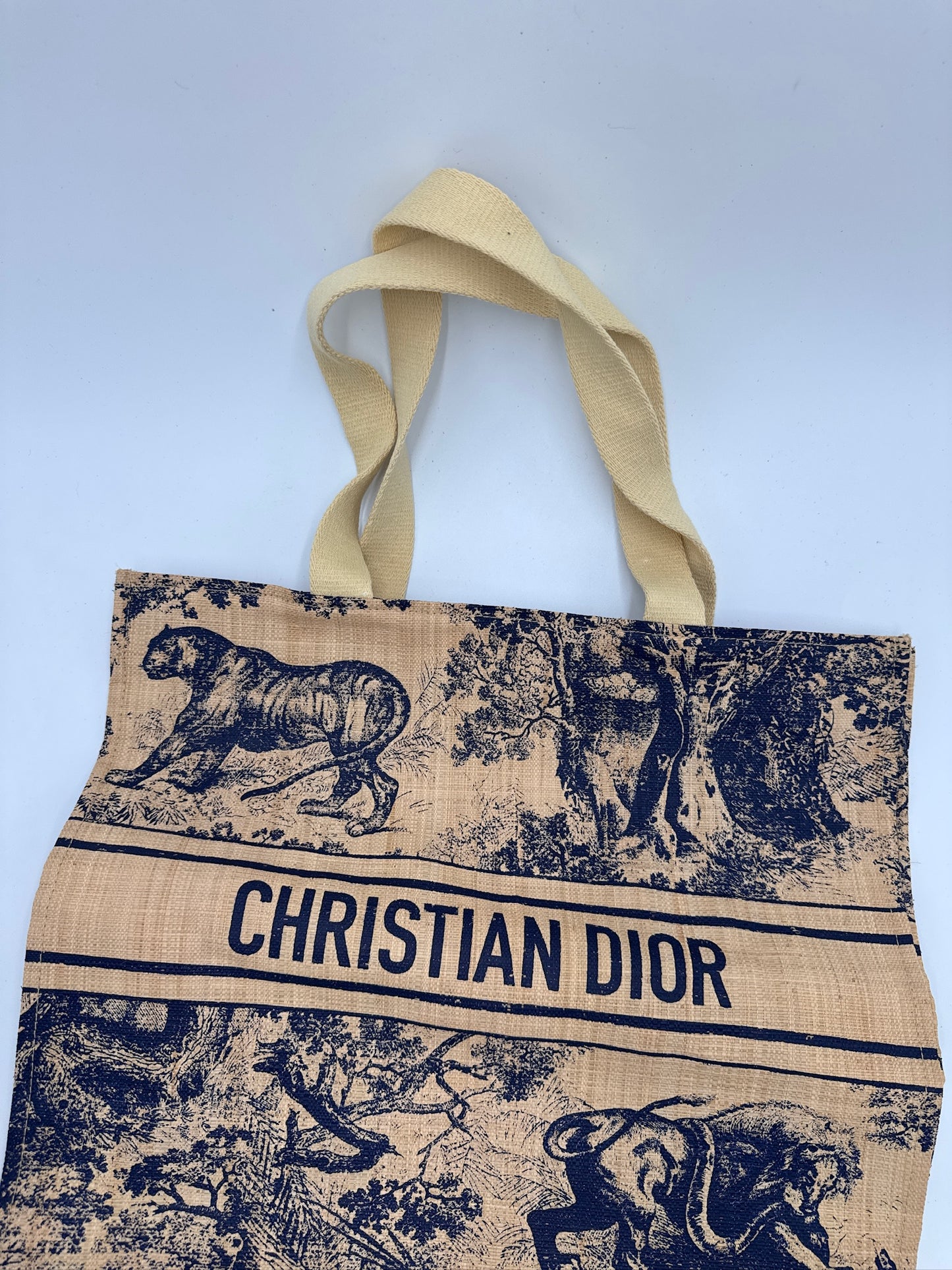 Dior Riviera Raffia Tote Bag